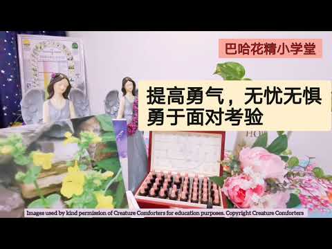 《巴哈花精小学堂》Vol 5 无忧无惧面对恐惧