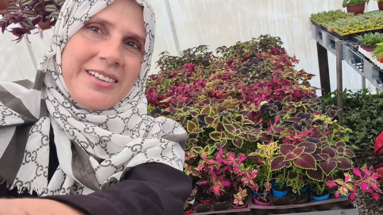 Retro Çiçekçilik'te Yaprak Güzeli(Kolyos) Cenneti ve Çok Özel Sukulent&Kaktusler ile Bir Gezi