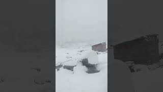 LIVE Snowfall Heavy Snow Falling Right Now | Live Snowfall Cozy Winter Ambience Vibes