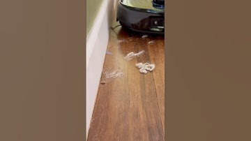 eufy E28 robot vacuum #cleanwithme #deepclean #floorcleaning #cleaning #eufy #cleaninghacks