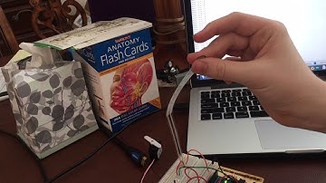 Touch Sensor and Servo