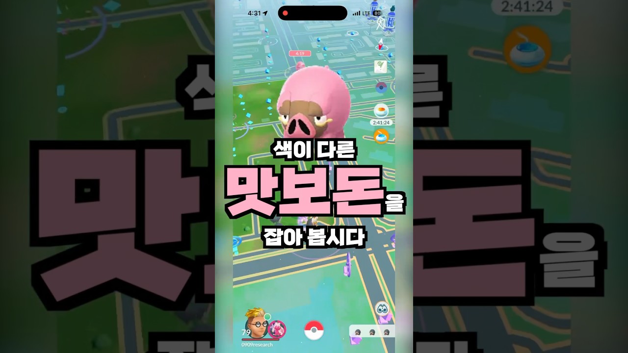 인기없는 맛보돈 커뮤니티데이 #pokemongo #포켓몬고