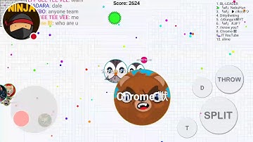 My Blob Stream crazy mode