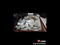 جرجا مدينة الحوفه جرجا مدينة الحوفه