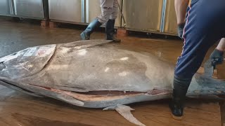 Amazing 486kg Giant Bluefin Tuna Cutting Skill