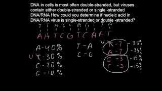 How To Find If Virus Single Stranded Or Double Stranded Youtube