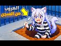 محاكي الهروب من السجن   