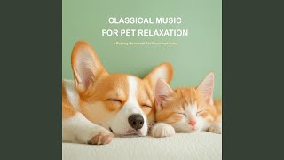 Yearning Gesture - Cool Music