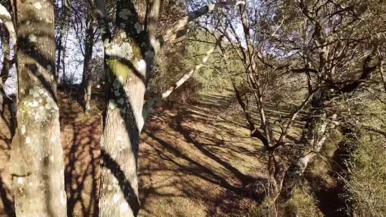 Las Coruxas / Las Corujas, Asturias