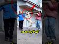 موقف طريف انتهى بمفاجأة ستجعلك تضحك Funny Dogs موقف طريف انتهى بمفاجأة ستجعلك تضحك Funny Dogs