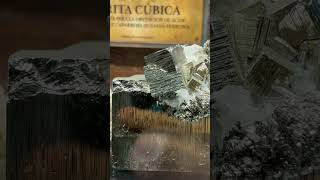 Los verdaderos minadores de Minecraft vida real #minecraft #racker #minecraftshorts #minero #durango
