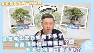 盆景年久失修如何下手？專業師傅修剪費用高？新手如何自己動手做？＃盆栽新手村必練課題｜台灣銘園庭園美術館
