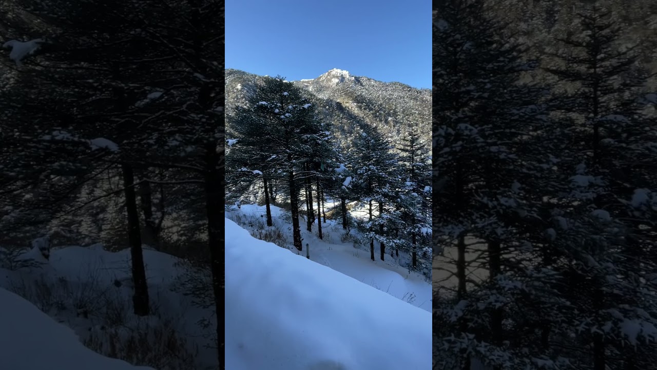 Tawang morning view ❤️  