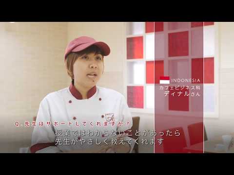 ディナル アルプス山脈 ディナル アルプス山脈