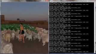 UTS: AI interactions in SL with Ant Colony Optimisation (ACO) Algorithm