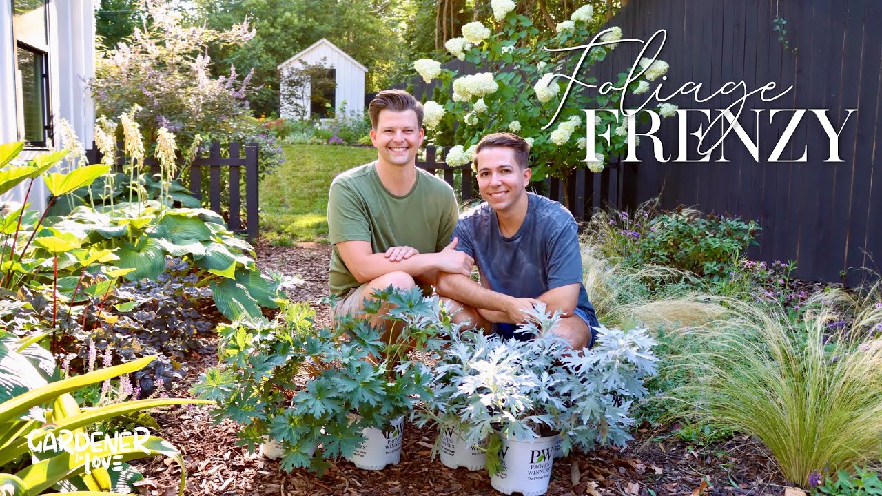 Foliage Frenzy | Gardener in Love