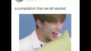 Stray Kids vines before January 2020 end