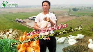พาชมฟาร์มเป็ดอี้เหลียง ดูเทคนิคการเลี้ยงเป็ดอี้เหลียงแท้จากจีน สร้างรายได้ l ชมสวนเกษตรกรไทย Ep229