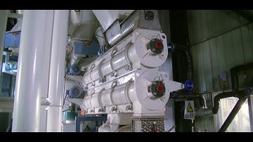Strongwin 5 tons per hour animal feed production line/feed pellet plant   toppelletmachine@gmail.com