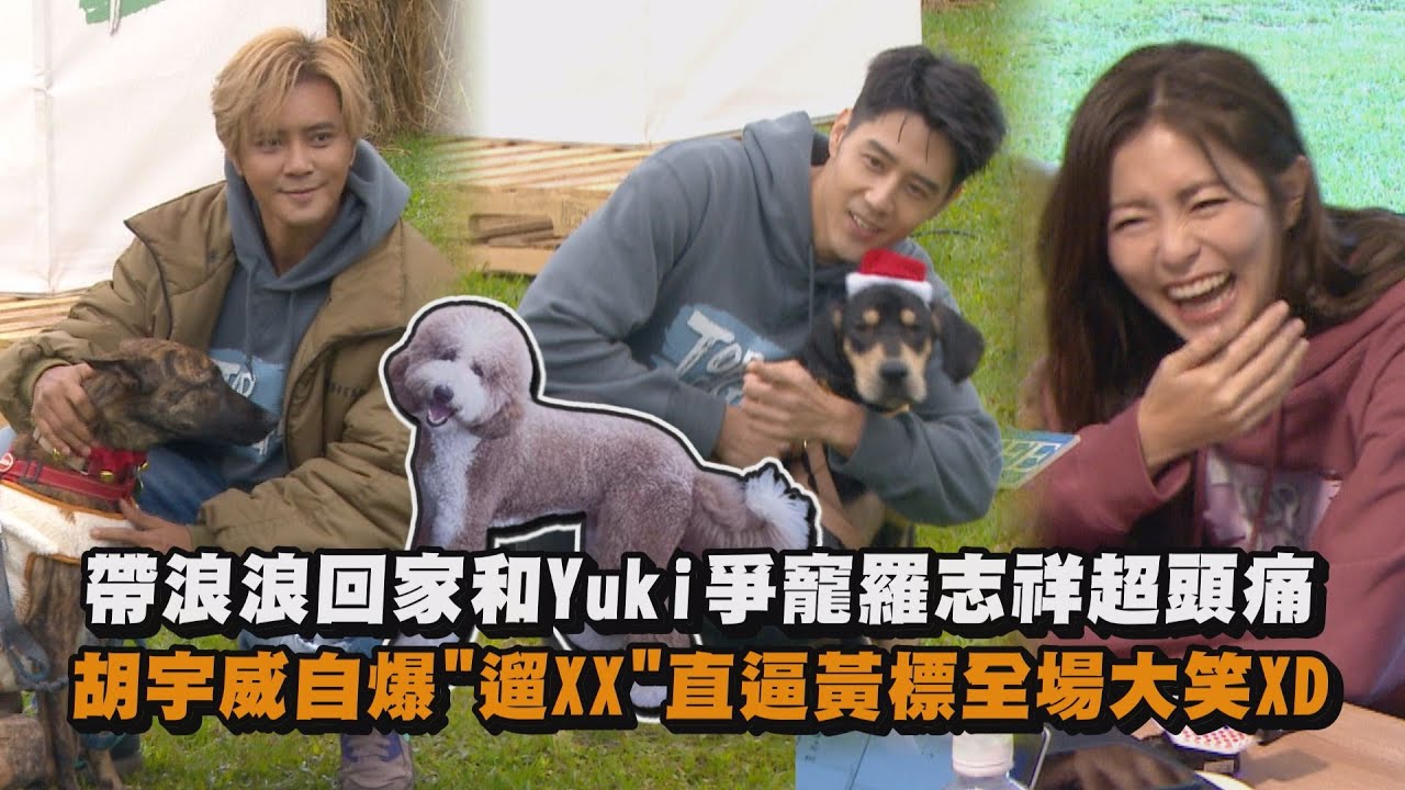 【TOP DOG回家】帶浪浪回家和Yuki爭寵羅志祥超頭痛 胡宇威自爆