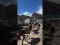 Manaslu Base Camp Trek | Day 5
