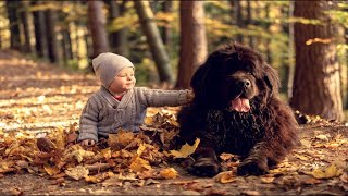 Babies Playing With Newfoundland Dogs