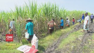 Dalang Tebu di Bumi Anjuk Ladang - CNN Indonesia Heroes PTPN III