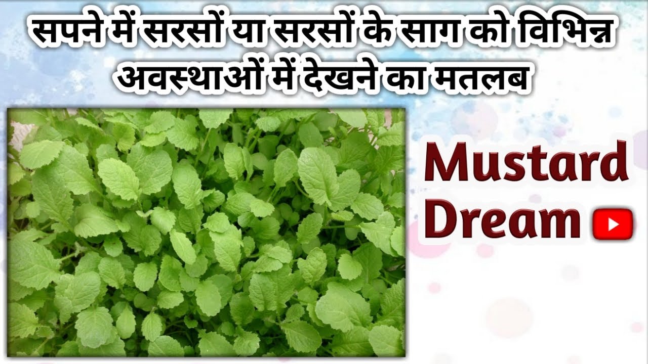 सपने में सरसों या सरसों के साग को विभिन्न अवस्थाओं में देखने का मतलब । Mustard Dream