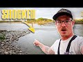 I HAVE NEVER Seen One Of These Prehistoric RIVER MONSTERS!!! (Fishing With Cut Shad)