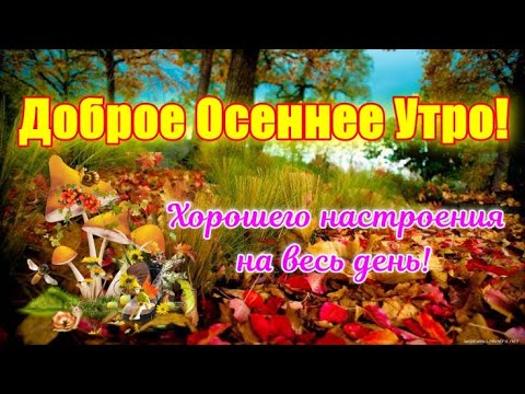 Доброе Осеннее Утро!🍁 Здравствуй, Осень!