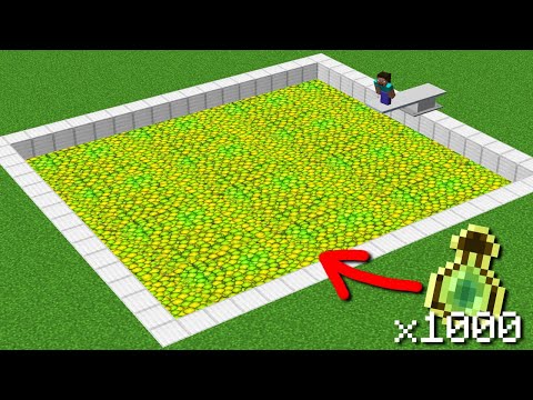 exp pool