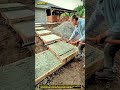 Stand-Up Concrete Screed Tool : How Workers Level Fresh Steps