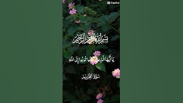 #تلاوة_خاشعة #عبدالباسط_عبدالصمد #بلال_دربالي #راحة_نفسية