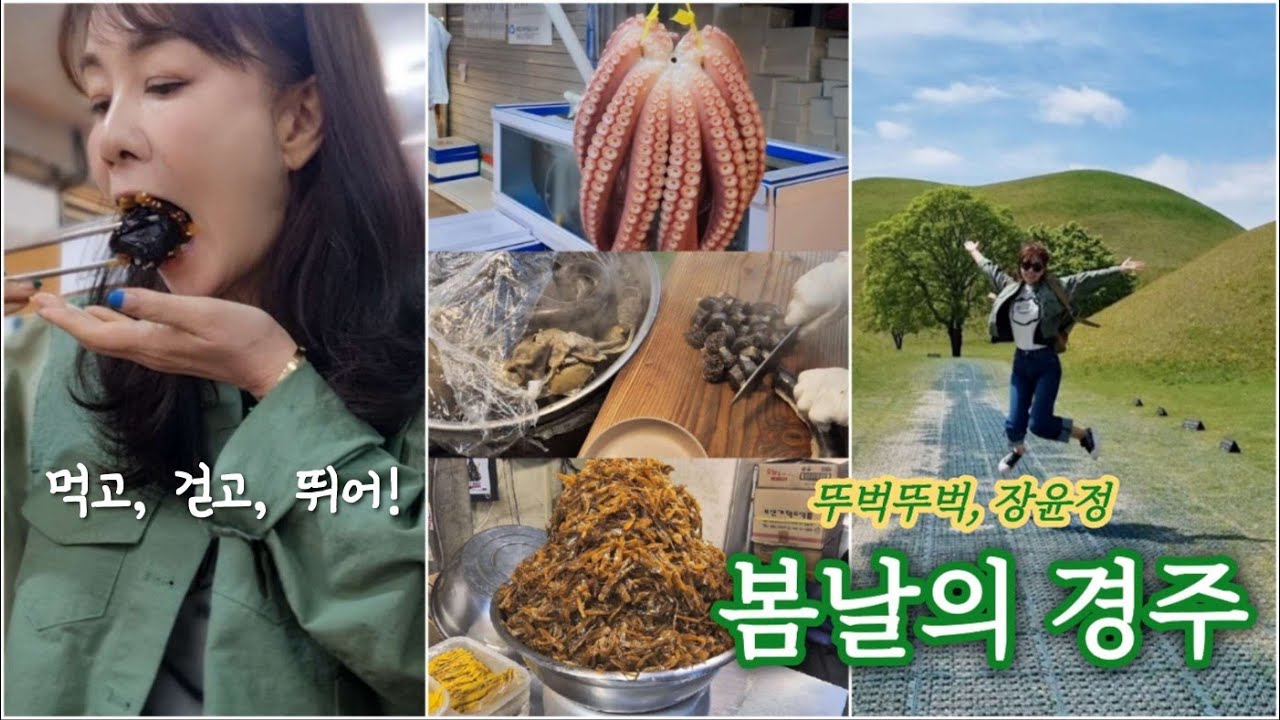 EP.8 뚜벅이 장윤정, 먹고 걷고 뛰었던 느좋 경주ㅣ(가족빼고)나홀로 당일치기 여행ㅣ유적지만 있는게 아니야~ #비단벌레 #전기자동차 #성동시장 #보배김밥 #원진찹쌀순대 #막장