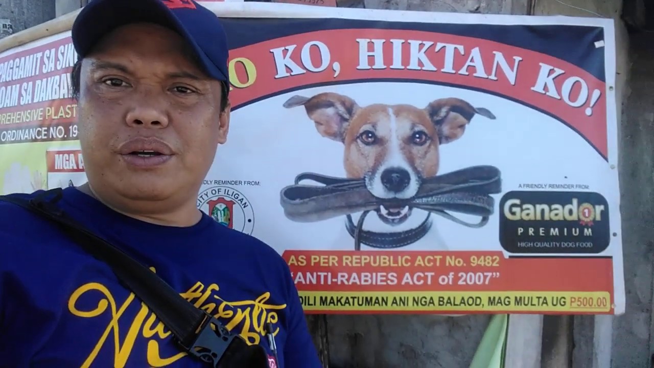 Dog Owner responsibilities Dog lovers YouTube