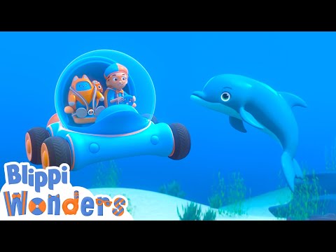 Dolphins! - Blippi
