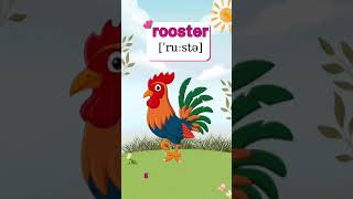 Animals Dạy Tiếng Anh Chủ Đề Động Vật Cho Bé Thế Giới Động Vật Chickenenglishtv