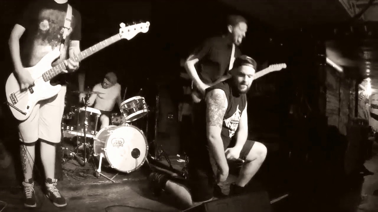 Harbour Sharks - A History of Violence (Official Video)