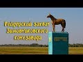 Рейдерский захват Зимовниковского конезавода.