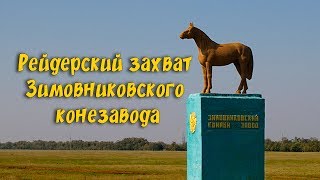 Рейдерский захват Зимовниковского конезавода.