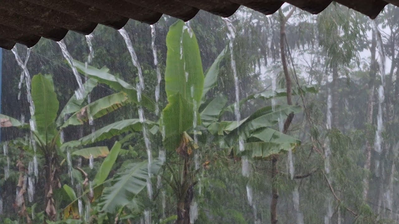 Heavy Rain Sounds for Deep Sleep 🌧️ Fall Asleep Fast, Reduce Anxiety & Stress