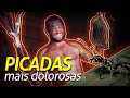 A PICADA MAIS DOLOROSA QUE EXISTE! | RICHARD RASMUSSEN