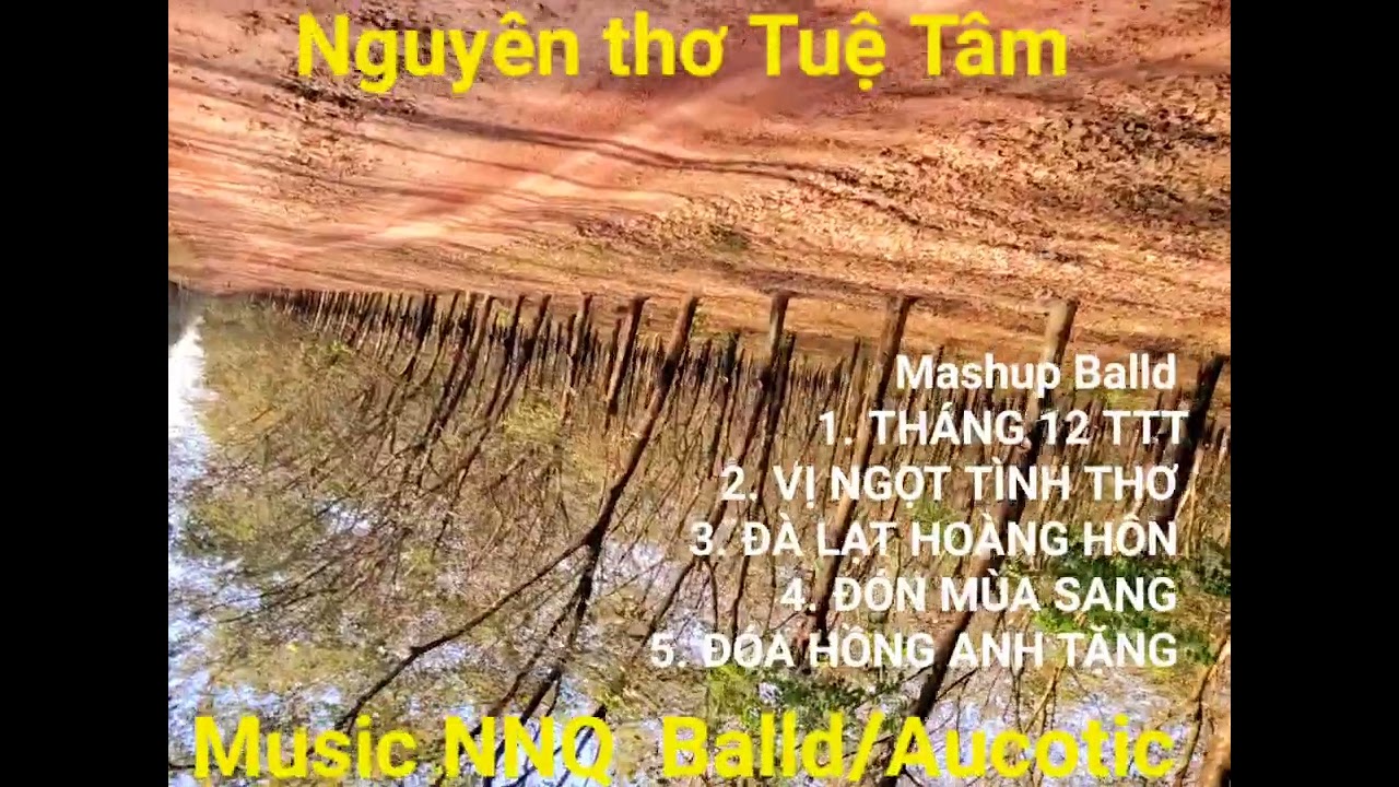 NGUYÊN THƠ TUỆ TÂM MASHUP NHẠC CHỮ TÌNH BALLAD 