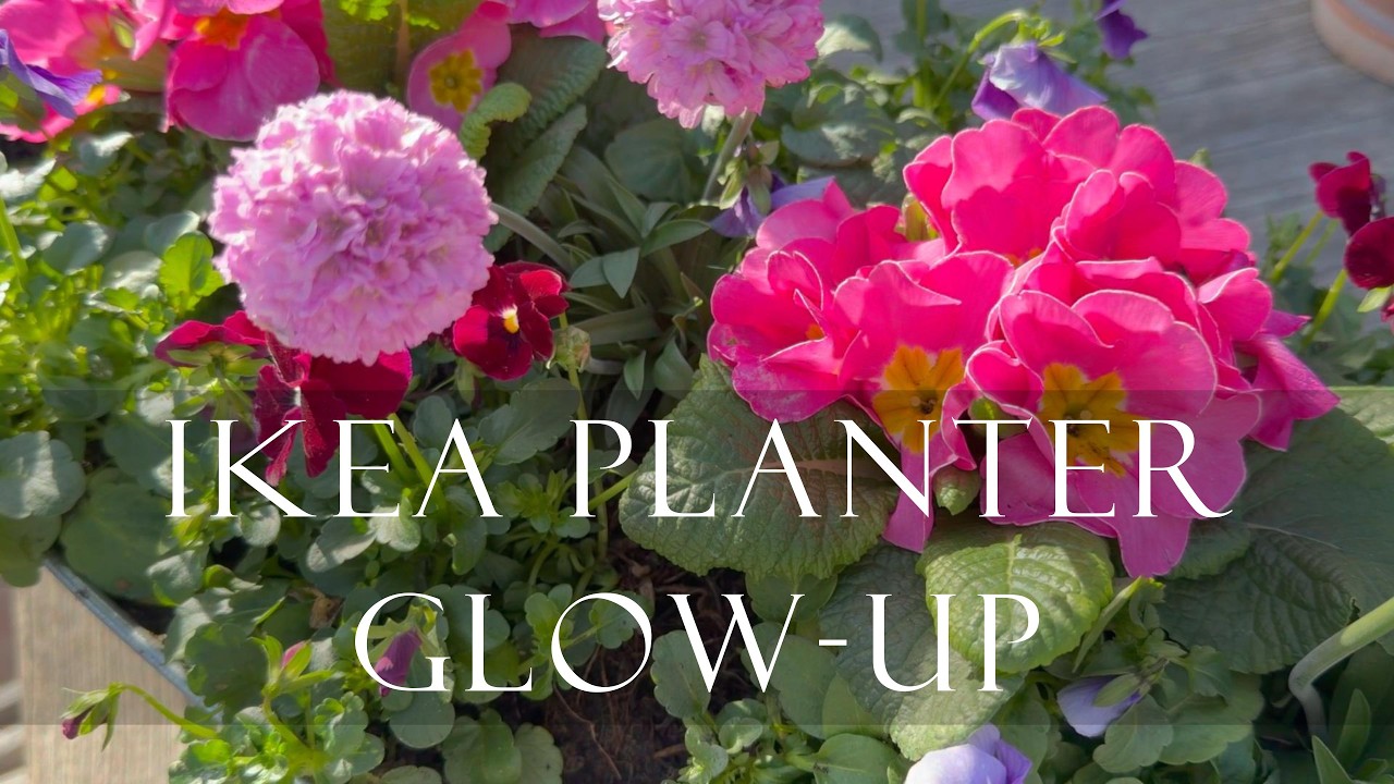 Прекрасное преображение весеннего цветочного горшка из IKEA | Простой проект для загородного сада...