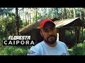 FUI NA FLORESTA DA CAIPORA - FIZ SPIRITBOX