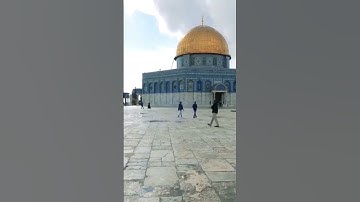 سورة النصر فلسطين حرة 🇵🇸