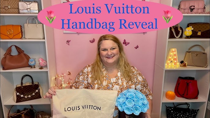 LVoing Louis Vuitton – How much is too much to spend on a bag? –  Beautybuzzer