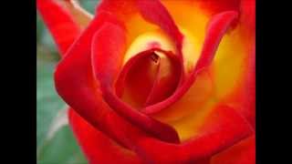 Banaha - (Piano version) (Lyrics - translate English and Spanish)