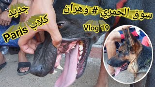 سوق الحمري # وهران للكلاب 2021 نشاط وحيوية شاهد كل أنواع الكلاب # مرحبا بكم في قناة عالم الحيوانات