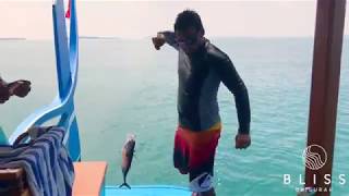 Stay at Bliss Dhigurah, Maldives